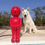 Oda ve Kahvaltı Mas Del Llop Blanc - Dog Friendly Rural - Sobrestany