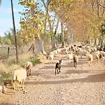 Mas Del Llop Blanc - Dog Friendly Rural - Oda ve Kahvaltı