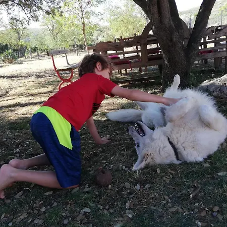 Mas Del Llop Blanc - Dog Friendly Rural - Couette-café