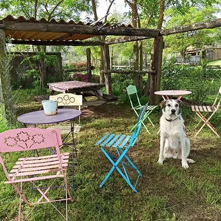 Mas Del Llop Blanc - Dog Friendly Rural - 4* Sobrestany