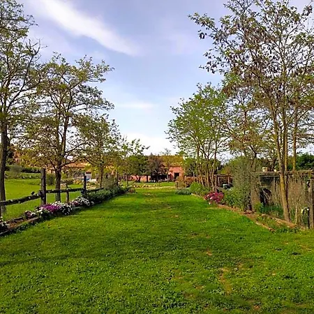 Mas Del Llop Blanc - Dog Friendly Rural - Allotjament i esmorzar 4*