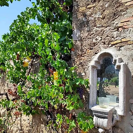 Bed & Breakfast Mas Del Llop Blanc - Dog Friendly Rural -