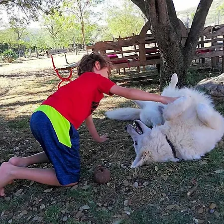 Mas Del Llop Blanc - Dog Friendly Rural -