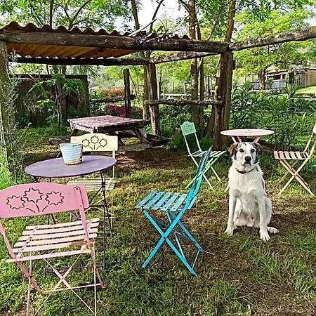 Mas Del Llop Blanc - Dog Friendly Rural - 4*