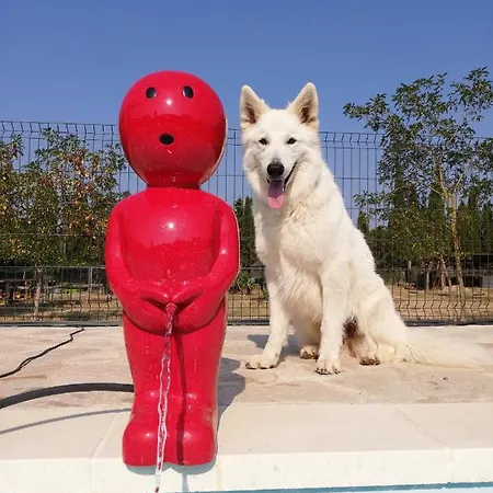 Panzió Mas Del Llop Blanc - Dog Friendly Rural - Sobrestany