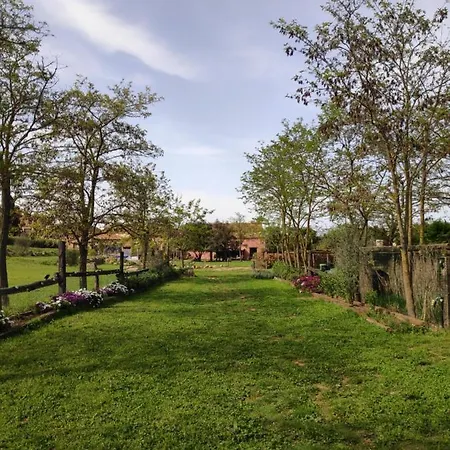Mas Del Llop Blanc - Dog Friendly Rural - Bed & Breakfast Sobrestany