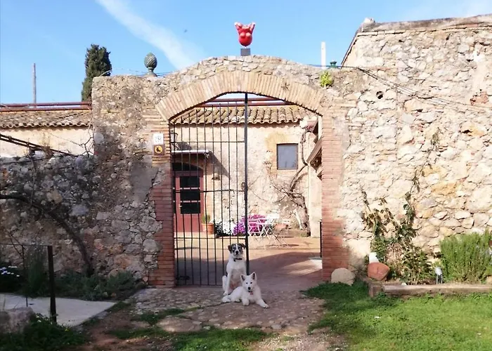 Mas Del Llop Blanc - Dog Friendly Rural - Bed and Breakfast