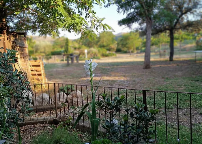 Mas Del Llop Blanc - Dog Friendly Rural - Sobrestany